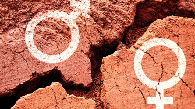 Над 22 000 германци са сменили пола си за година